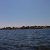Marsala_2012 (232)